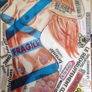 Fragile - collage et acrylique sur toile - 120x40 - 280 €